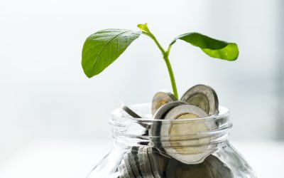 Efficiency Meets Profitability: EnVision IQ in Action