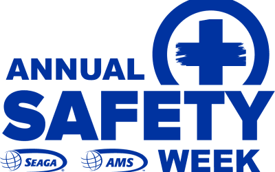 Importance of Safety in Warehouses and Distribution Centers